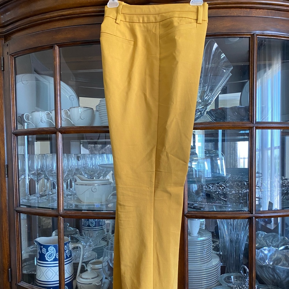 NY&Co straight pants in marigold size 12 tall